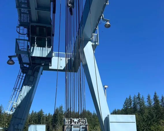 Professional Crane Restoration Image